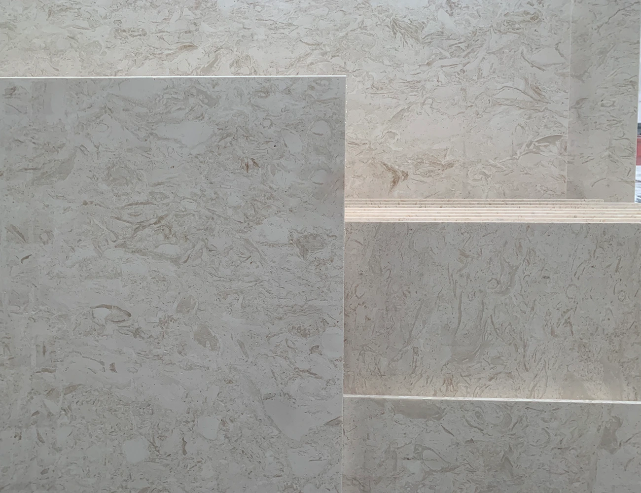 conchas arrecife caliza beige